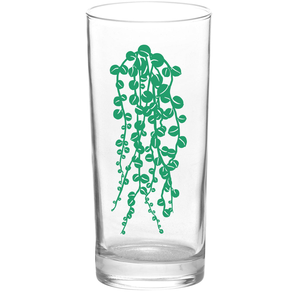Succulents Succulent Pearls Color Green Tall Collins Glasses