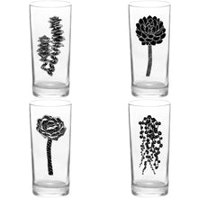 Load image into Gallery viewer, 4 Pack Boxed Set Succulent Garden Black Tall Collins Glasses
