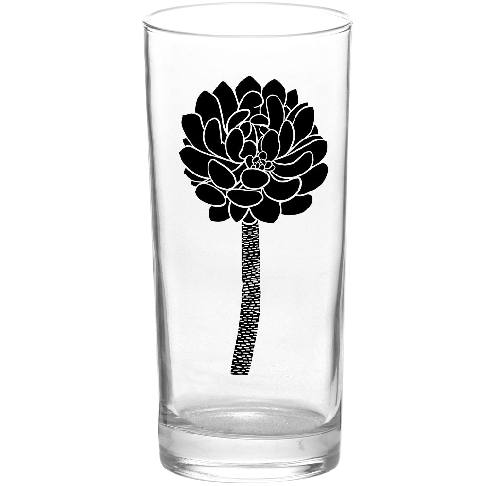 Succulents Succulent Burst Black Tall Collins Glasses