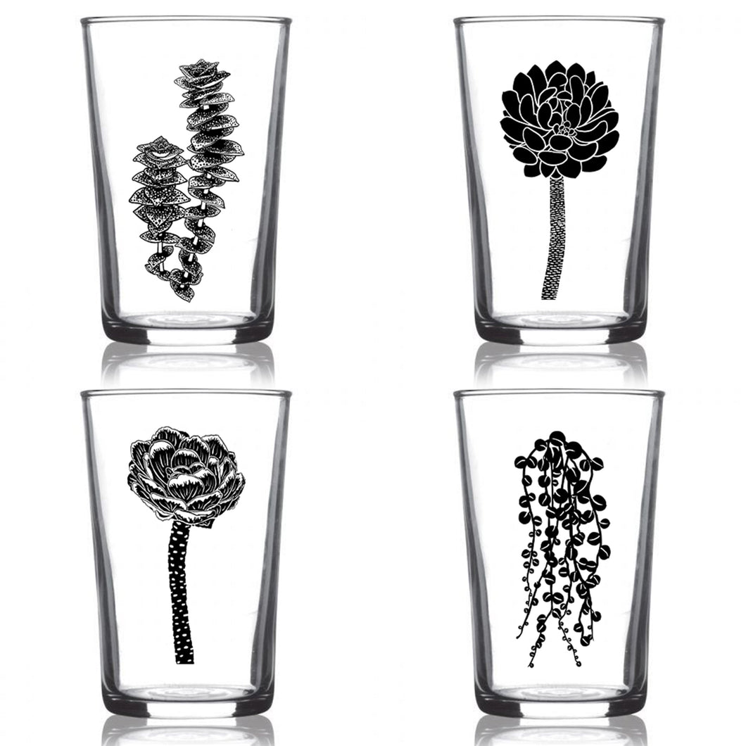 Succulent Garden Euro Wine 4 Pack Black Set