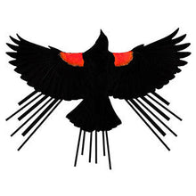 Load image into Gallery viewer, Red Winged Blackbird T-Shirt - Unisex Asphalt
